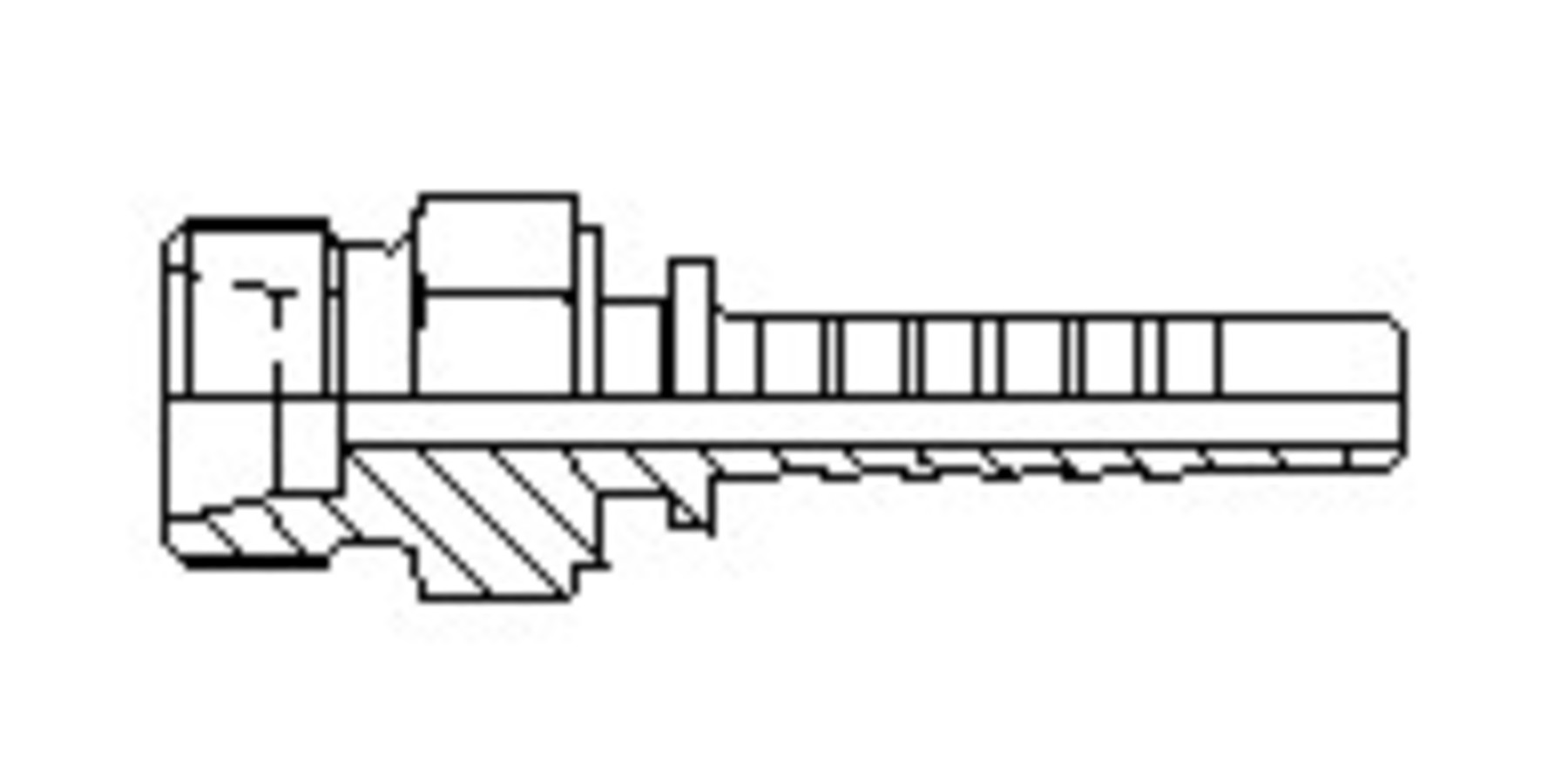 Macho Metrica 24°